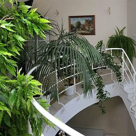 Elat Hotel