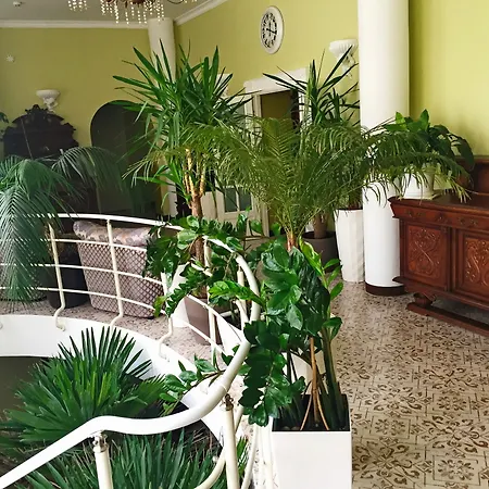 Hotel Elat 4*